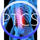 Pinnacle Training & Consulting Systems, LLC